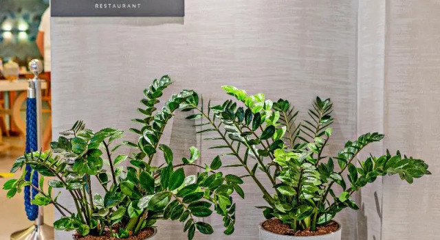 Номер Standard Nefeli Hotel