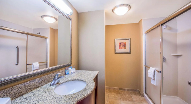 Двухместный номер Standard Hampton Inn & Suites Oklahoma City - South