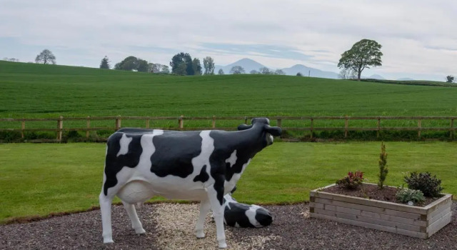 Creeghduff Lodge, Book Hotel Downpatrick Down County