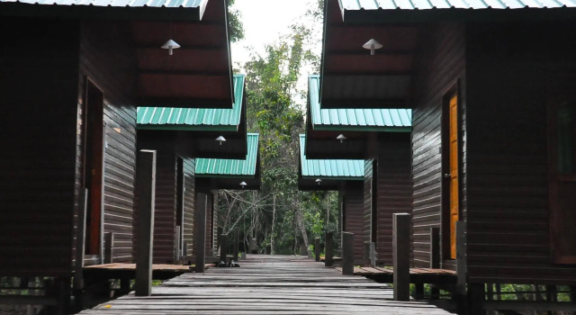 Kinabatangan Sunshine Lodge, Rezervovat Hotel Kinabatangan Sabah