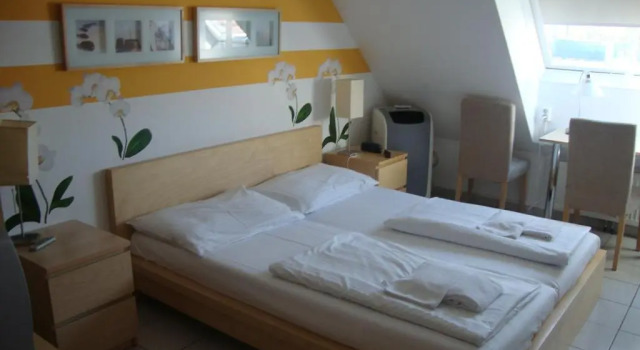 Двухместный номер Standard Lenas Donau Hotel