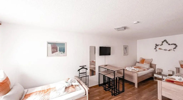 Трёхместный номер Standard Landhotel "Schwarzach am Main"