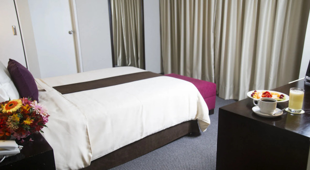 Palmetto Hotel Business San Borja
