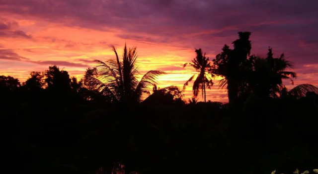 Двухместный номер Deluxe Kun - Kun Guest House Ubud