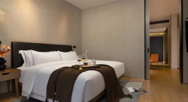 Suite Executive Hotel 35