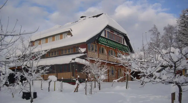 Ferienwohnung, Bernau, Book Apartment Menzenschwand Feldberg