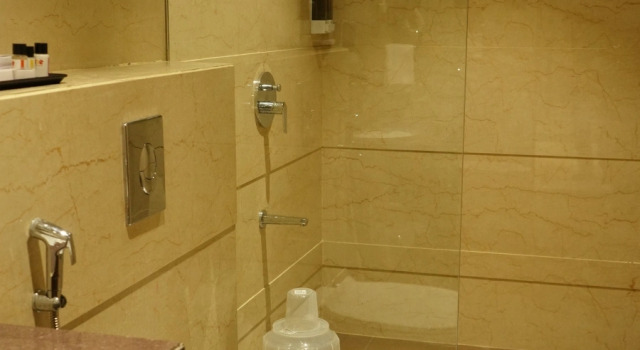 Номер Deluxe Alaukik Hotel