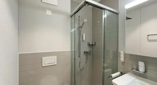 Номер Standard Aparthotel Beinwil am See