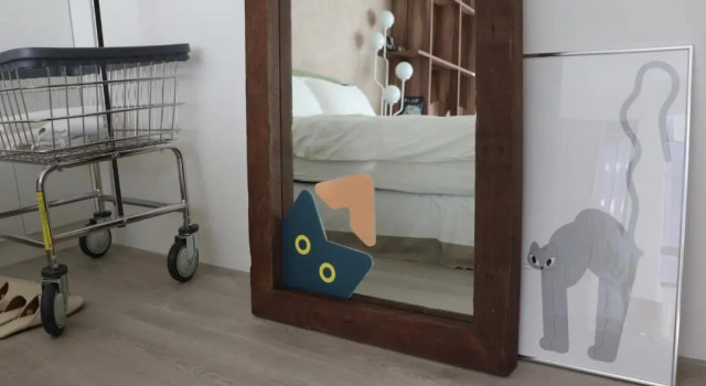 Camera Deluxe Cat Nap
