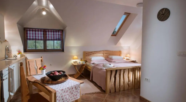 Студия Bio Apartments Trnulja