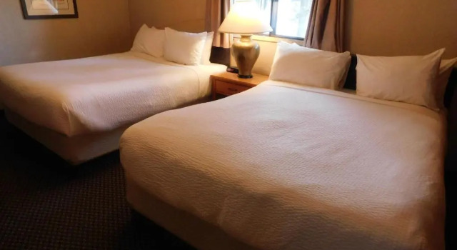 Condo Loft c 1 комнатой Douglas Fir Resort & Chalets