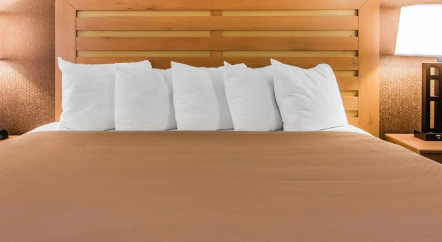 Двухместный номер Standard Quality Inn & Suites Warren - Detroit