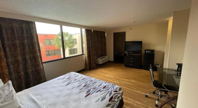 Номер Deluxe Tropical Palms Hotel