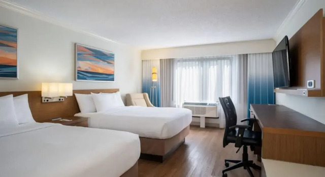 Четырёхместный номер Standard Courtyard by Marriott - Naples