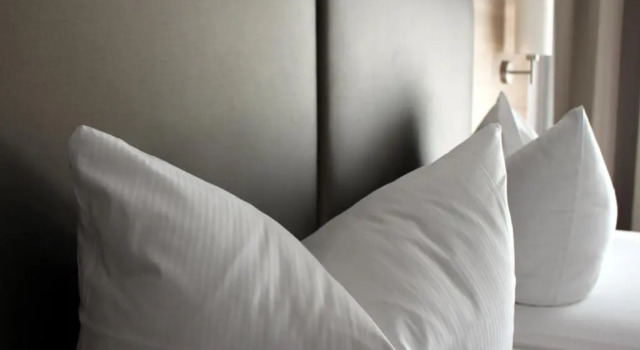 Двухместный номер Standard Landgasthof Ritter Hotel und Gastronomie GmbH