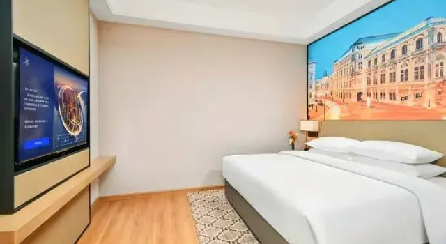 Люкс Deluxe Vienna International Hotel (Hefei Shushan Tianzhu Road Subway Station Branch)