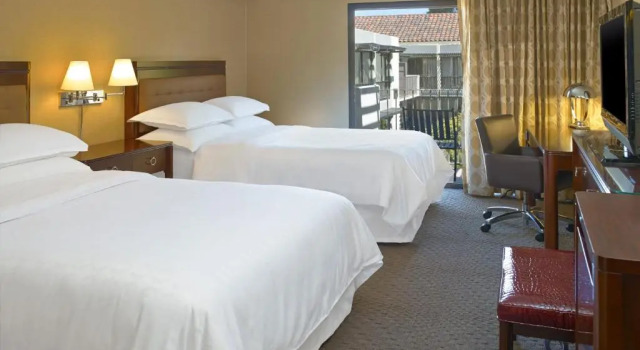 Четырёхместный клубный номер Standard Sheraton Palo Alto Hotel
