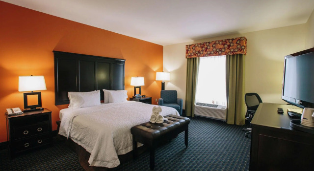 Двухместный номер Standard Hampton Inn & Suites Effingham