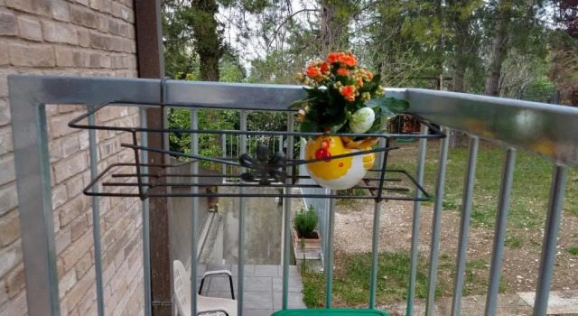 Номер Standard B&B IL TORCHIO-URBINO