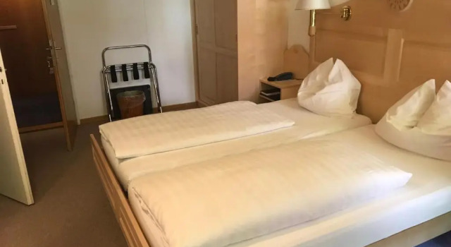 Двухместный номер Standard Hotel Bellevue - Traditional Swiss Hideaway