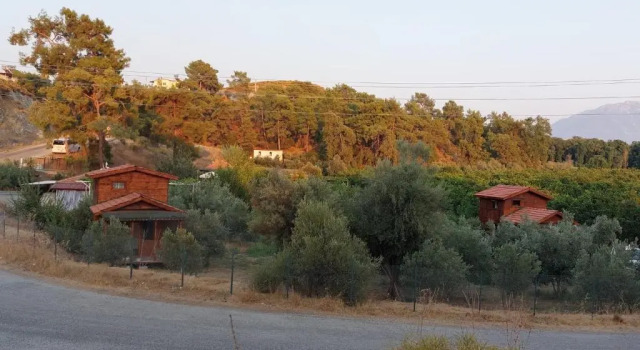 Коттедж с 2 комнатами olive garden bungalow