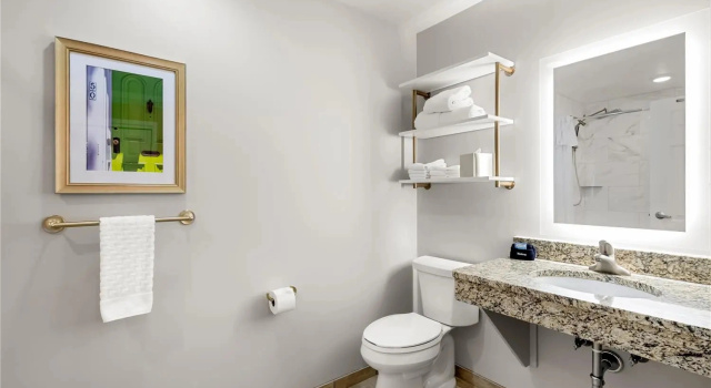 Двухместный номер Standard Цокольный этаж The Inn at Lewisburg, BW Signature Collection