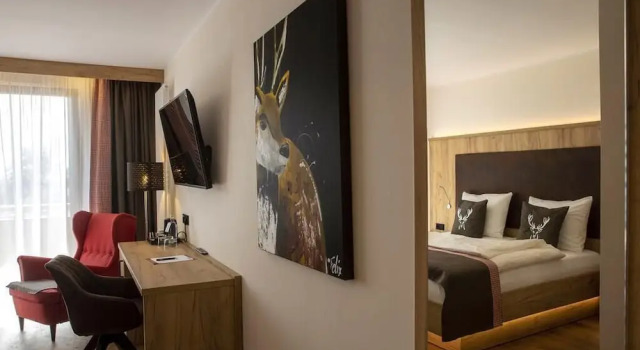 Номер Deluxe Steig-Alm Hotel Superior