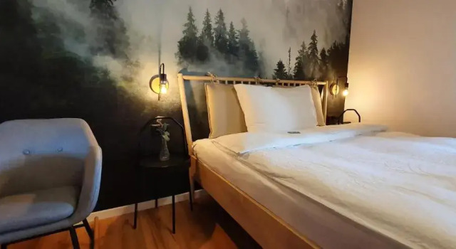 Одноместный номер Standard Schortas Alvetern - Boutique Hotel