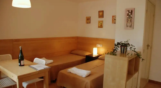Студия Цокольный этаж Apartaments Margarita Sabina Pinell