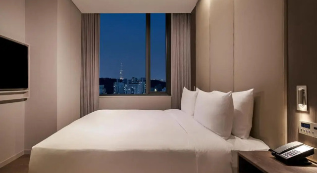 Двухместный люкс Deluxe Hilton Garden Inn Seoul Gangnam
