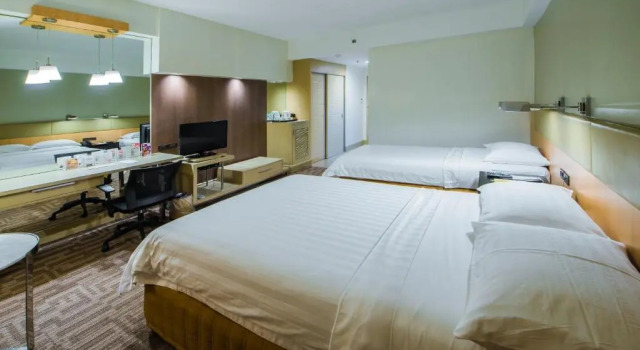 Двухместный номер Deluxe LFisher Hotel Bacolod