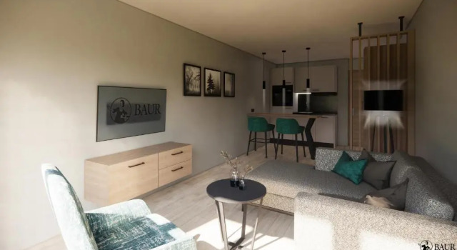 Студия Economy Black Forest Lodge