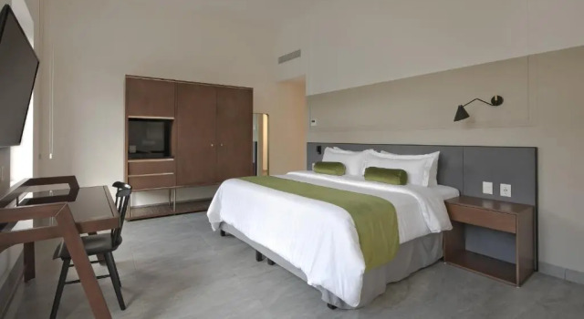 Номер Deluxe Gamma Orizaba Grand Hotel de France