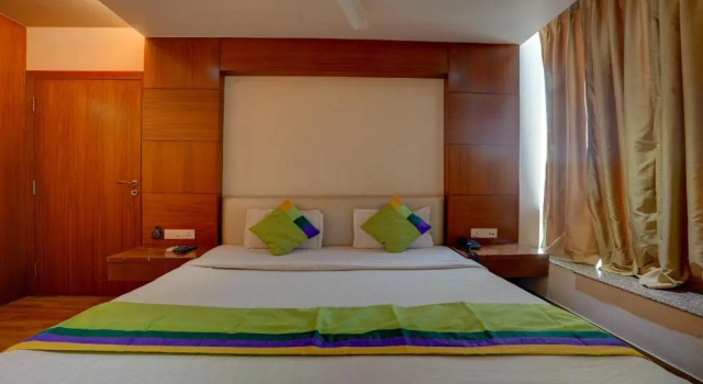 Номер Deluxe Treebo B&B