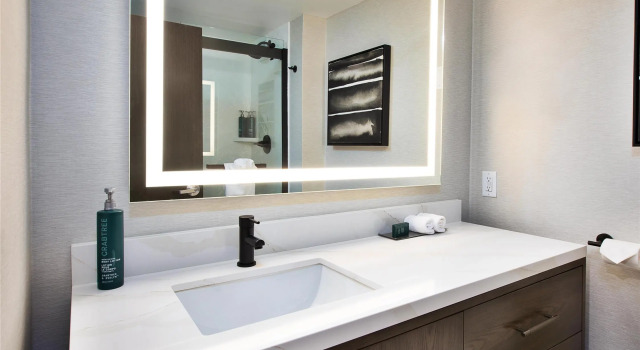 Двухместный номер Standard DoubleTree by Hilton Hotel Detroit Novi
