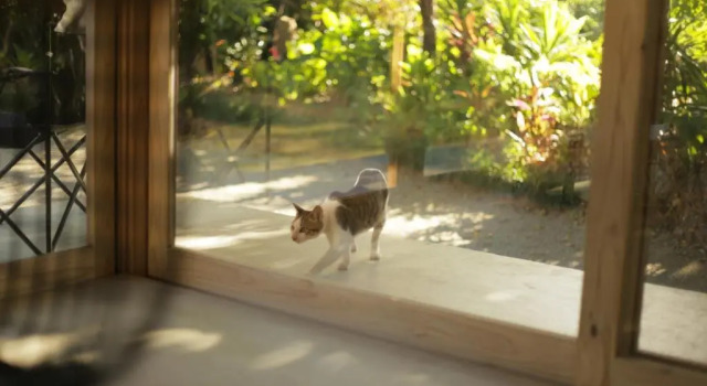 Коттедж Kunigami-gun - House - Vacation STAY 91572