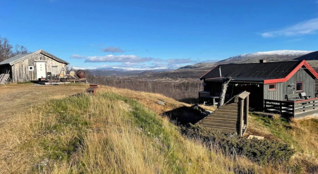 Номер Standard Live in the Realm of the Musk Oxen on Dovrefjell