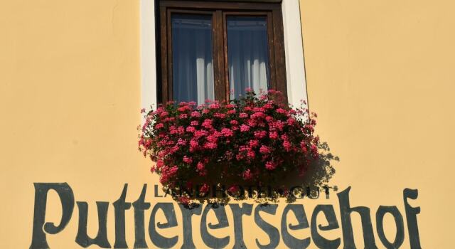 Puttererseehof, Réserver Hôtel Hôtels 3 étoiles à Styrie, 3*