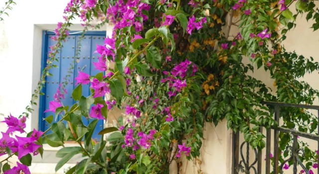La Casa de la Bombilla Verde, Buchen Sie Hotel Trevélez Alpujarras