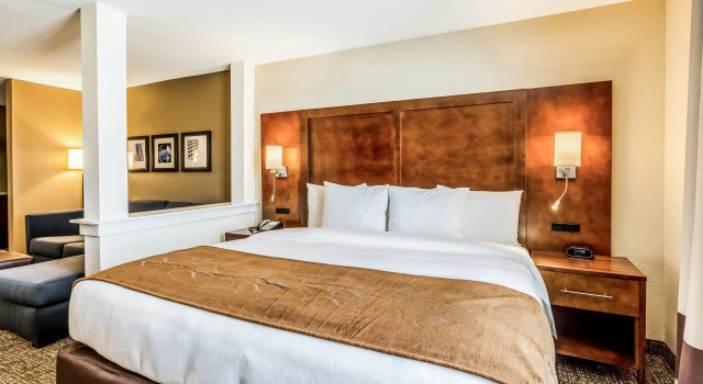 Двухместный люкс Comfort Suites Channelview - Houston East