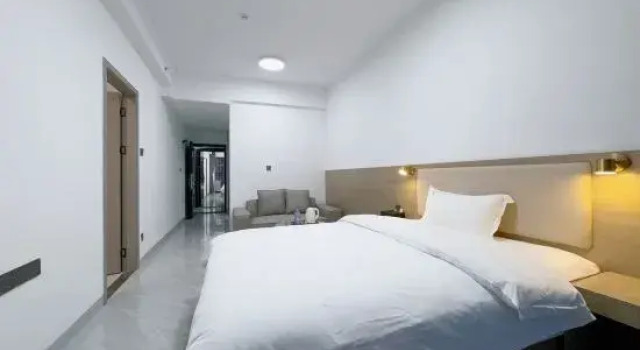 Двухместный люкс Business Shuoke International Apartment