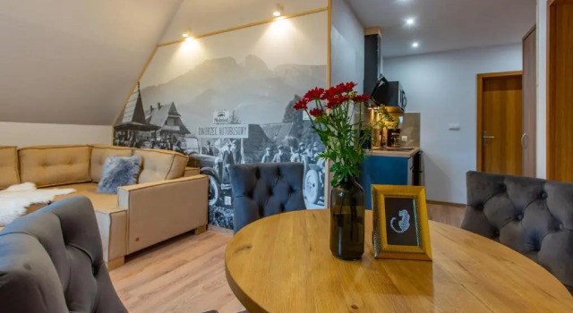 Апартаменты Пентхаус Stacja Zakopane - Apartamenty w centrum