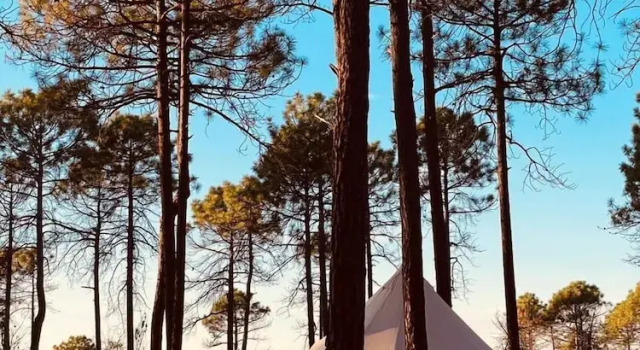 Номер Standard La Reserva Glamping