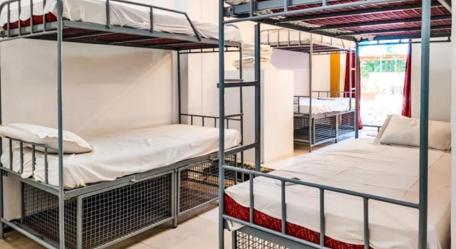 Piggy Hostel Calangute, Book Hostel / Vandrerhjem Hostels i Calangute, Hostel / Vandrerhjem