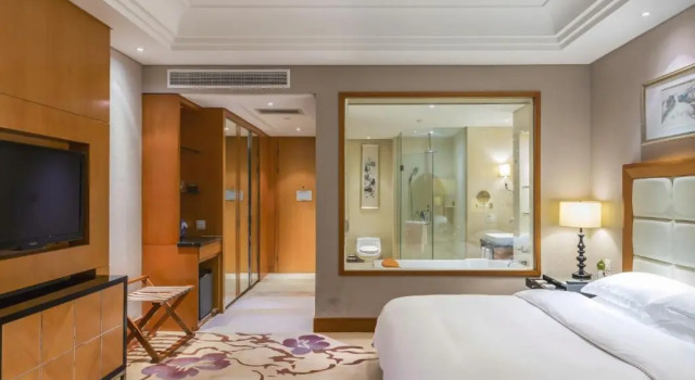 Двухместный номер Superior Wyndham Xinyang Downtown