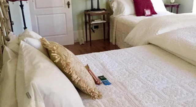 Starlight Pines Bed and Breakfast