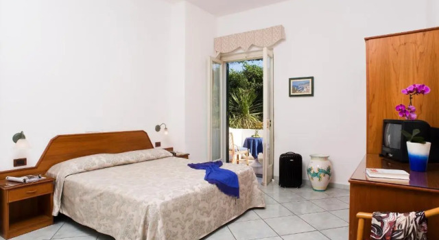 Двухместный номер Standard Park Hotel Terme Mediterraneo