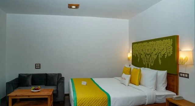 Номер Standard Zone Connect by the Park Manali