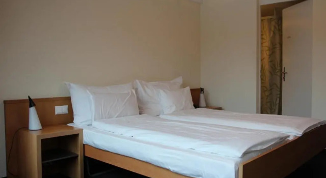 Двухместный номер Standard Deltapark Vitalresort****
