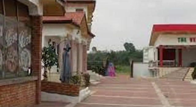 True Vine Hotel